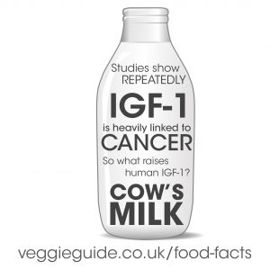 Cow's milk causes an increase in IGF-1 which is linked to cancer