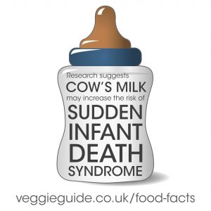 Cow’s milk consumption has been linked to sudden infant death syndrome in babies